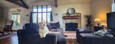 Room for rent in Oak Park Main Photo