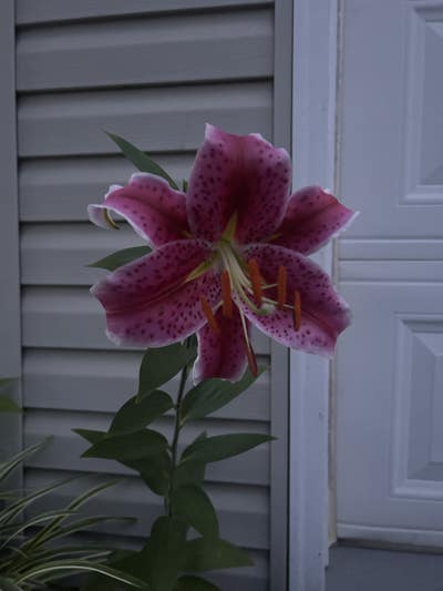 Room wanted in Washington, District of Columbia... Main Photo
