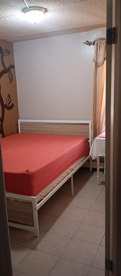 Cozy clean room Main Photo