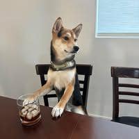 Room wanted in Santa Clarita, Los Angeles, CA Main Photo