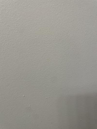 Room wanted in Connecticut Main Photo