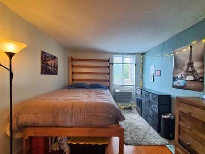 Private Sublet ― Roosevelt Island ― Aug 17 to E Main Photo