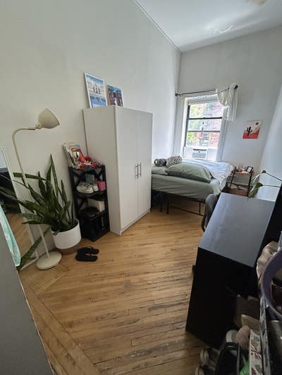 Spacious, natural lighting, plant-friendly.  Main Photo