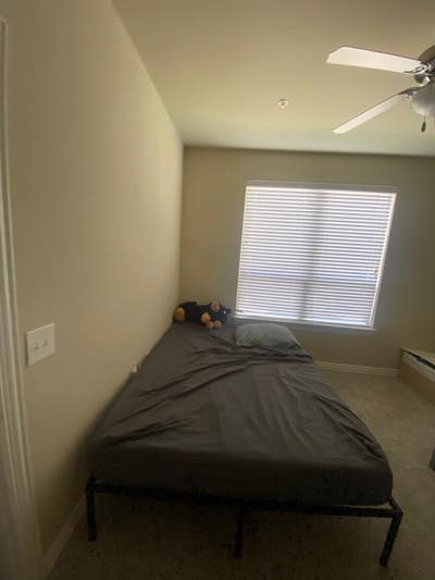 Roommate  Main Photo