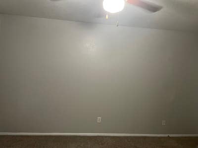Trans couple looking for roommate  Main Photo
