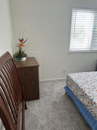 Clean, bright room in spacious house Main Photo
