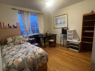 Single room for lady  Main Photo