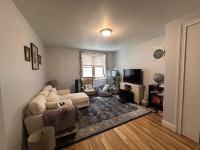 Two large, sunny rooms in East Williamsburg! Main Photo