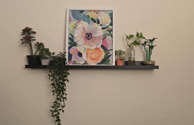 One Month Sublet from end of July to August Main Photo