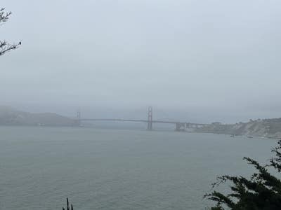 Room wanted in San Francisco Bay Area Main Photo