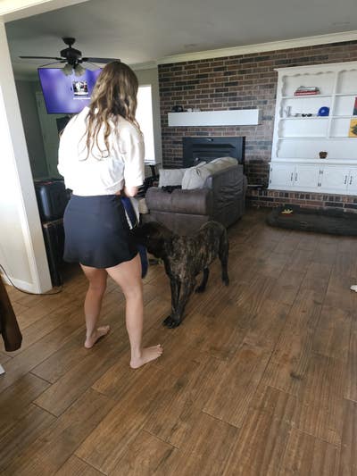 Room wanted in Los Angeles Main Photo