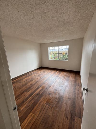 Apartment looking for a college roommate. Main Photo