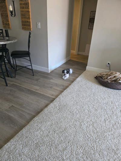 Private Room Available - Cozy Thousand Oaks  Main Photo
