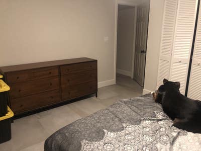 1 furnished room with shared bathroom available Main Photo