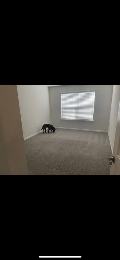 Room Available for $950 per month in Dawsonville Main Photo