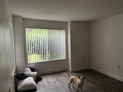 Spacious living room, 1/bd 1/ba APT large patio Main Photo