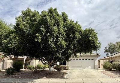 Room for rent 5 minutes from Arrowhead mall! Main Photo