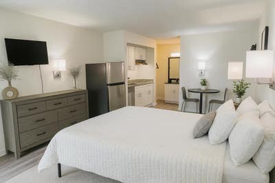 ðŸª· Live in your OWN Studio Apartment! Find Home At Main Photo