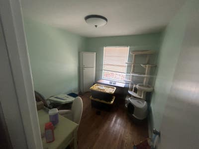 Rooms for rent- Denton Tx/University Blvd Main Photo