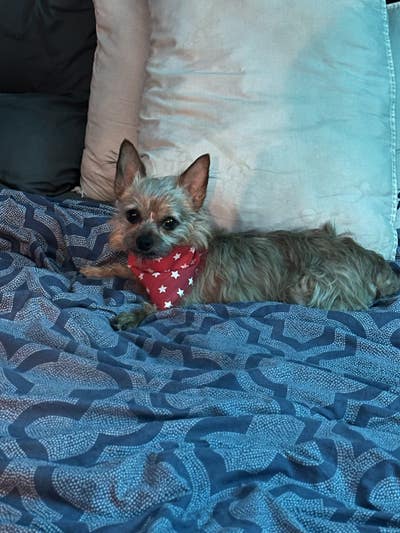 Room wanted in DFW, close to Fort Worth  Main Photo
