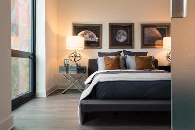 Luxury Loop High-Rise - Roommate Wanted Main Photo