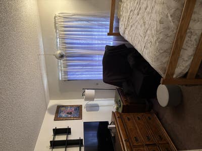 Reliable gentleman wanted as roommate Main Photo