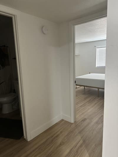 Room for rent, great location! Main Photo