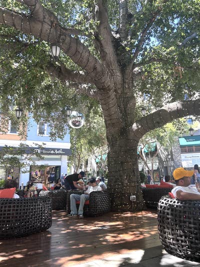 Santana Row area Main Photo