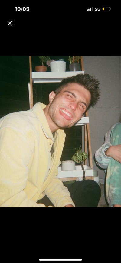 Looking  Main Photo