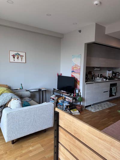 Rent stabilized studio in Prospect/ Crown Heights Main Photo