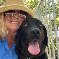 I have a professional guide dog that helps me... Main Photo