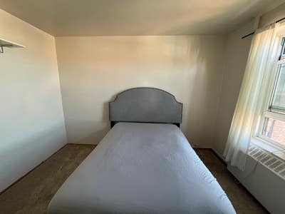 Harlem Artsy Professional Seeking Roommate Main Photo