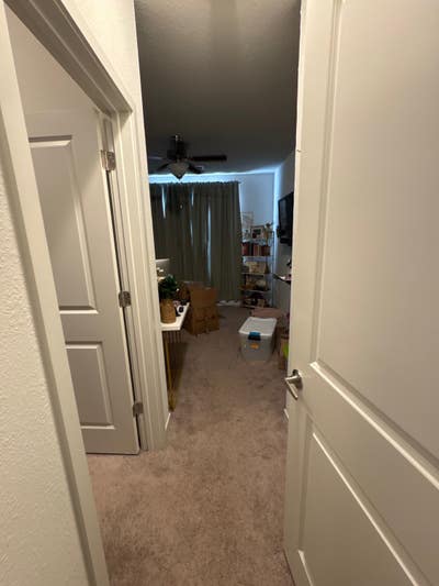 Seeking roommate/assistant Main Photo