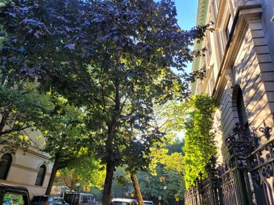 Cozy Rooms for Rent in Park Slope  Main Photo