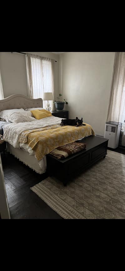 Spacious apt looking for roommate  Main Photo