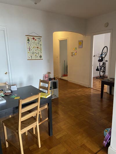 Cute and Cozy Apt. + Pup Main Photo