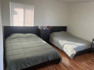 Shared room in Santa Monica Main Photo