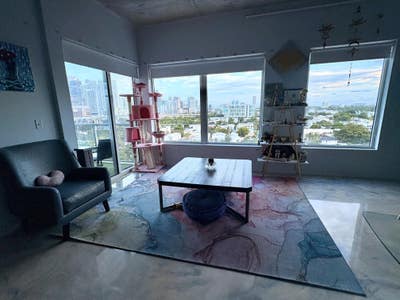 Idealic Miami Condo with Fluffy roommates Main Photo