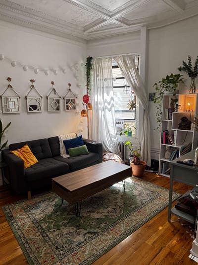 Share my cute 2 bedroom apt in Clinton Hill Main Photo
