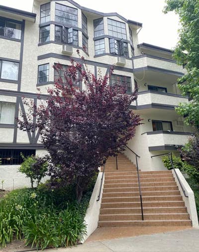 Looking for an Awesome Chill Roommate in Westwood  Main Photo