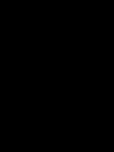 Room wanted in Washington, District of Columbia... Main Photo