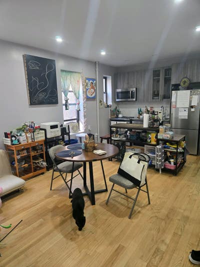 Looking for a friendly, cat loving, roommate Main Photo