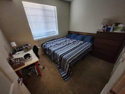 Apartment in Aloha (multiple rooms available) Main Photo