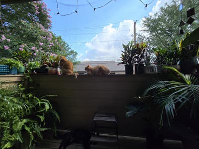 FEMALEÂ $750, En-suite in 2b2ba, 78704 Main Photo