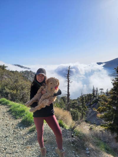 Room wanted in Calabasas, Los Angeles, CA Main Photo