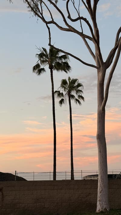 Room wanted in Huntington Beach, CA Main Photo