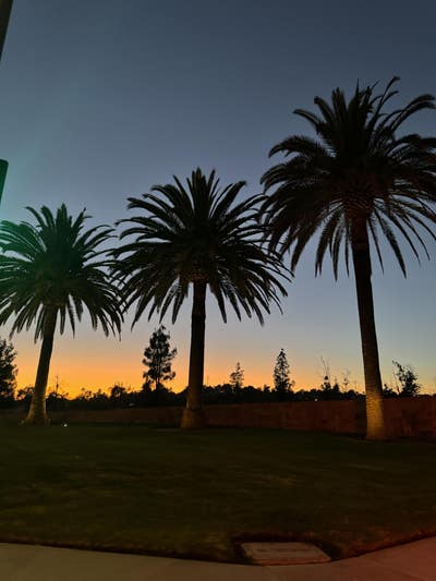 Room wanted in San Diego Main Photo