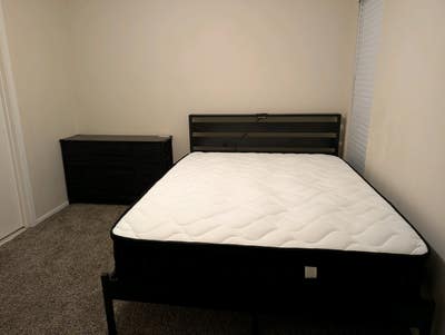 Private room in oak lawn.  Main Photo