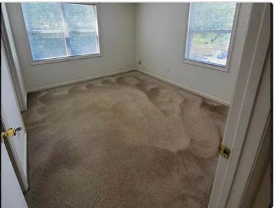 Condo Room in a 4 bed 4 bath condo RaleighNC Main Photo