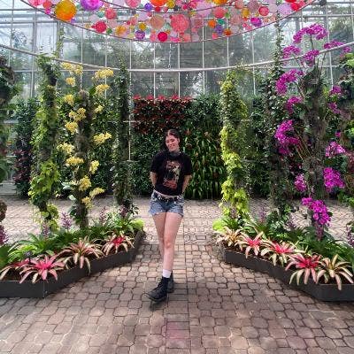 Looking for roommates/a room to rent! Main Photo
